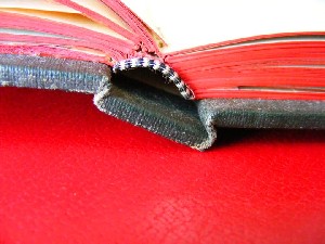 biblioteca 218 copy.jpg